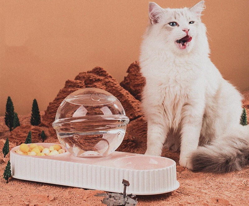 Cat Bowl With Water Fountain