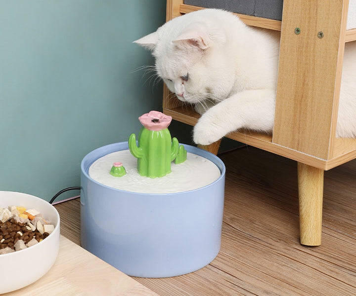 Cactus Shaped Water Fountain