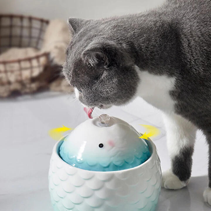 Fish Head Water Fountain