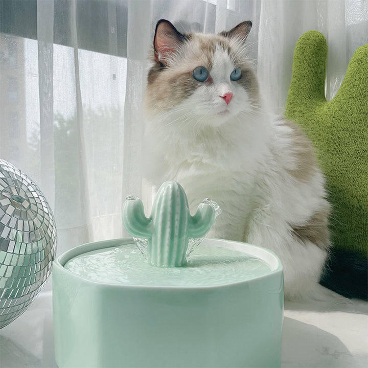 Cactus Style Cat Water Fountain